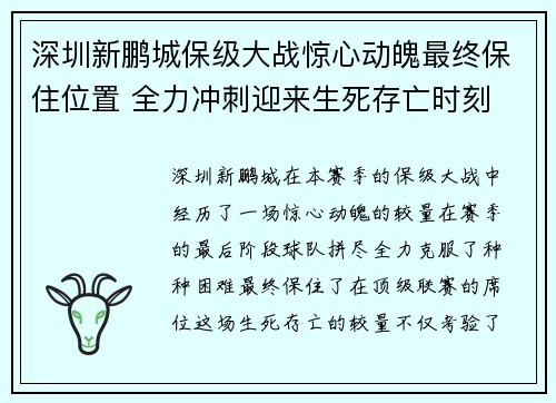 深圳新鹏城保级大战惊心动魄最终保住位置 全力冲刺迎来生死存亡时刻